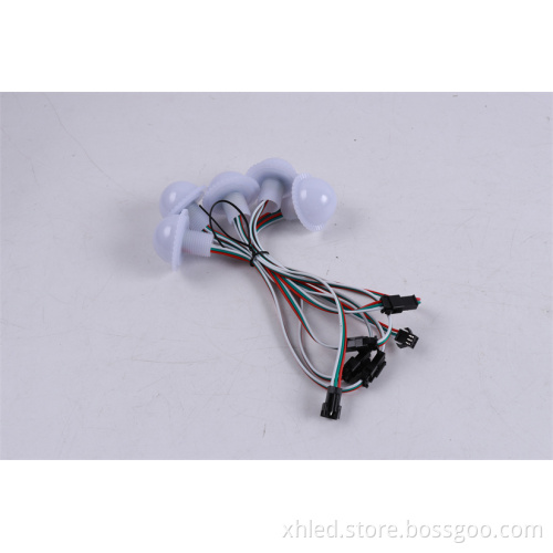 RGB DC12V Auto-Program LED Pixel IP67 DMX512 Color Point Light for Outdoor Amusement Park Lighting